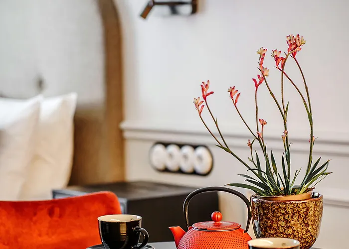 N33 Premium Old Town - Destigo *